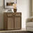 Cesiro 30" Wide Accent Chest With Drawer And Adjustable Shelves-1485009760-1485009763