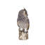 Long Eared Owl on branch | Handcrafted Decorative Bird Statue for Home & Garden | Premium Polyresin, Weather-Resistant Indoor/Outdoor Decor