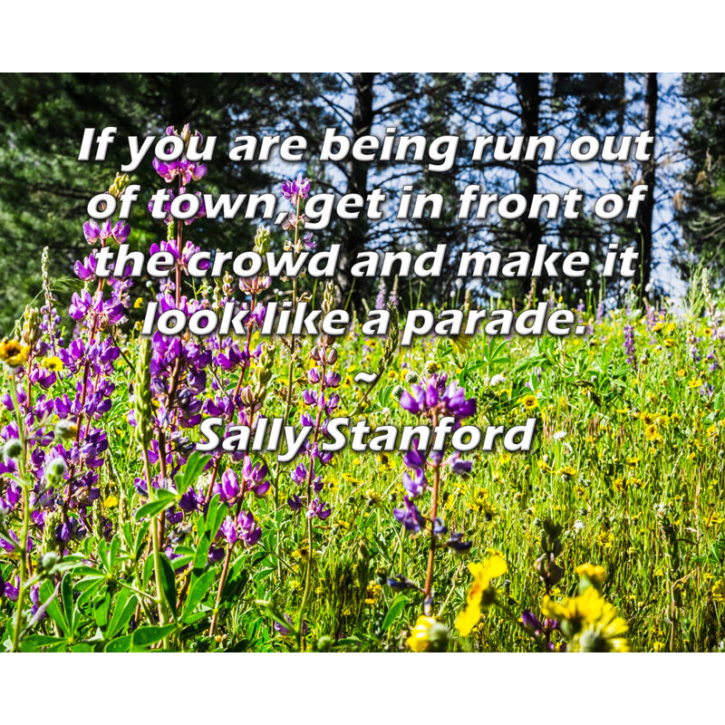 ArtsyQuotes Gallery Wrapped Canvas By Sally Stanford: "If you are being run out of town, get in front of the crowd and make it look like a parade."