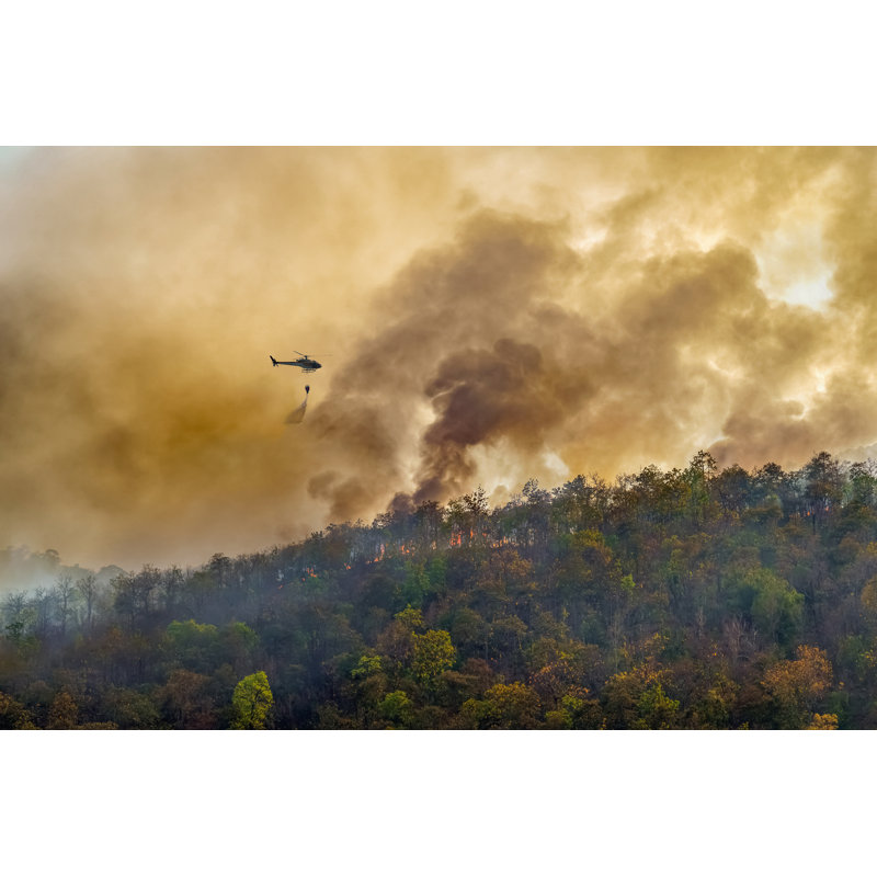 " Firefighting Forest Fire " by Toa55, 8" H x 12" W