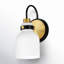 Arold Single Light Glass Dimmable Armed Sconce-1662857504