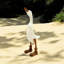 Aiko Animals Statue-1255523744