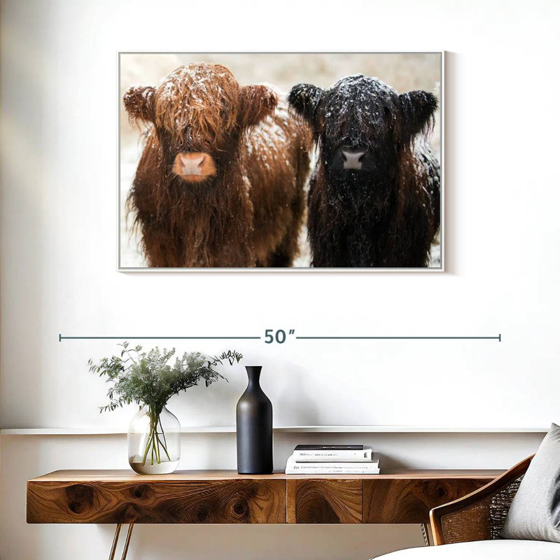 Poilu Highland Cows, Cadre flottant blanc, 37 po x 25 po