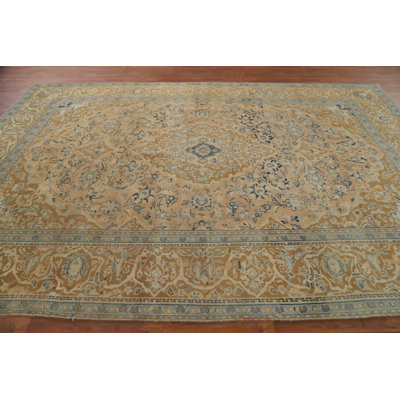 Traditional   Area Rug 8x11