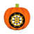 NHL Boston Bruins