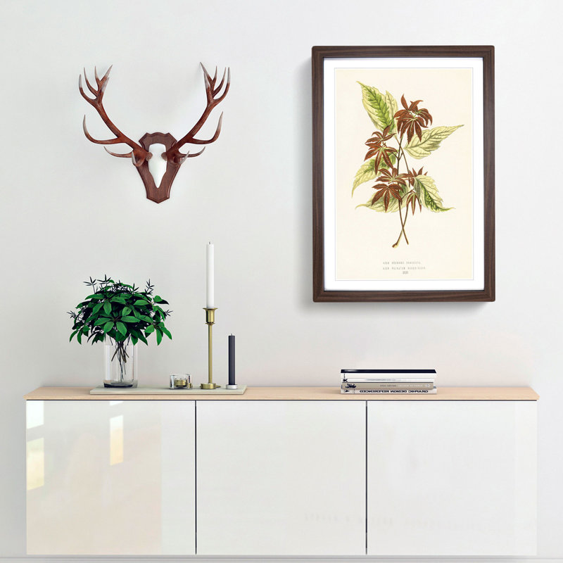 Boxelder Maple Leaf - Framed Print, Walnut Framed, 87cm H x 62cm W x 2cm D