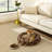 Sam's Pets Ivy Dog Bed-96346209-96346210