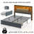 Queen Size Storage Bed with Footboard Drawers, Bookcase Headboard, LED Lights and Charging Station, No Box Spring Needed-1153366708-1155820911