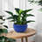 High quality ceramic flowerpot-2137162896