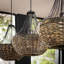 Aaronlee 3 - Light Water Hyacinth Pendant