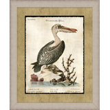 The Great Pelican 1 Painting