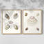 Pastel Knorr Shells III - reproduction encadrée de qualité supérieure - prête à être accrochée - aucun clou requis - aucun clou requis-2038901894-2038901891