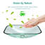 Lavabo vasque de salle de bain rectangulaire au-dessus du comptoir pour salle de bain, lavabo vasque en verre trempé avec bonde escamotable (sans robinet)