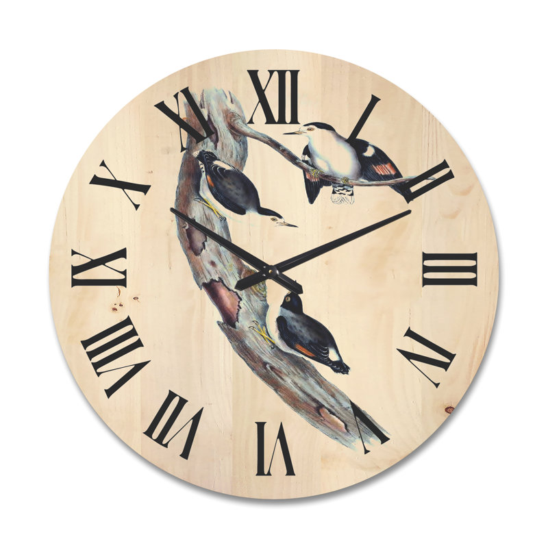 Horloge murale australienne, Très grand