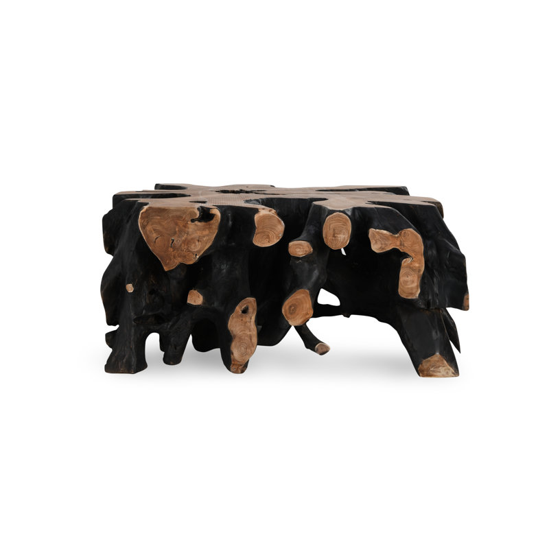Cypress Root 40" Square Coffee Table Black/Natural