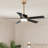 56'' Ceiling Fan with LED Lights-1440502492