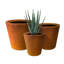 Pot de fleurs Waitman-1631442498