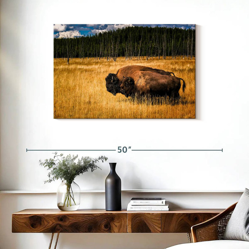 Brampt Bison In Summer, 24" H x 36" W