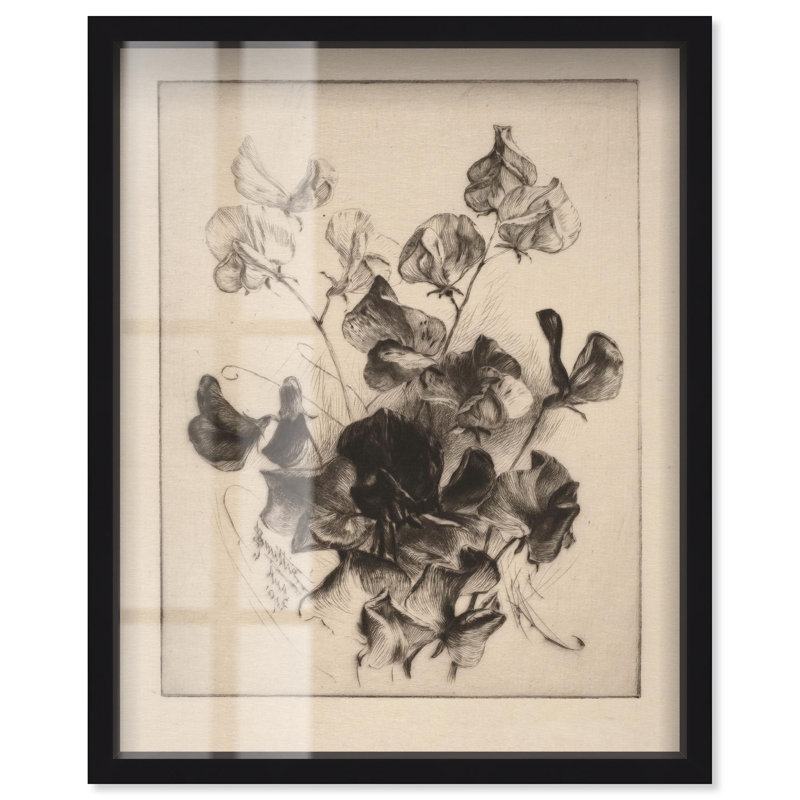 «Delicate Darkness Shadowbox Print» par Art Remedy, H 31 po x l 25 po, Noir