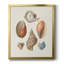 Knorr Shells & Coral I, toile encadrée de qualité supérieure - prête à être accrochée-484985649-484985660