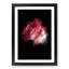 Pink Rose in Abstract - Picture Frame Painting Print-55583983-55583987