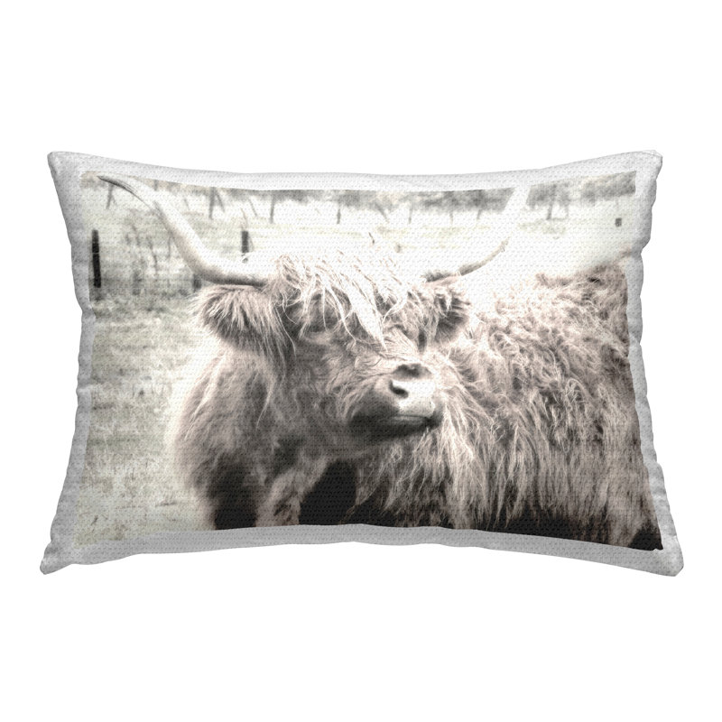 Coussin Highland Cow Gazing Portrait