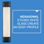 Hinkley Facet Large Wall Mount Lantern
