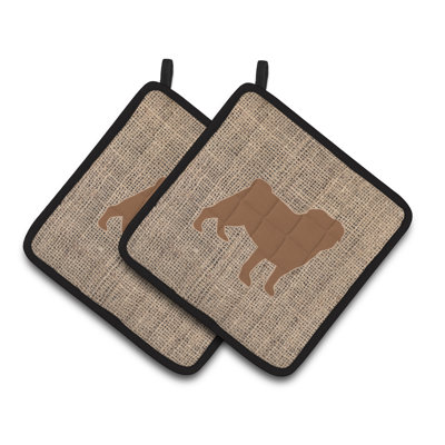 Cuisinier poignée east urban home carlin