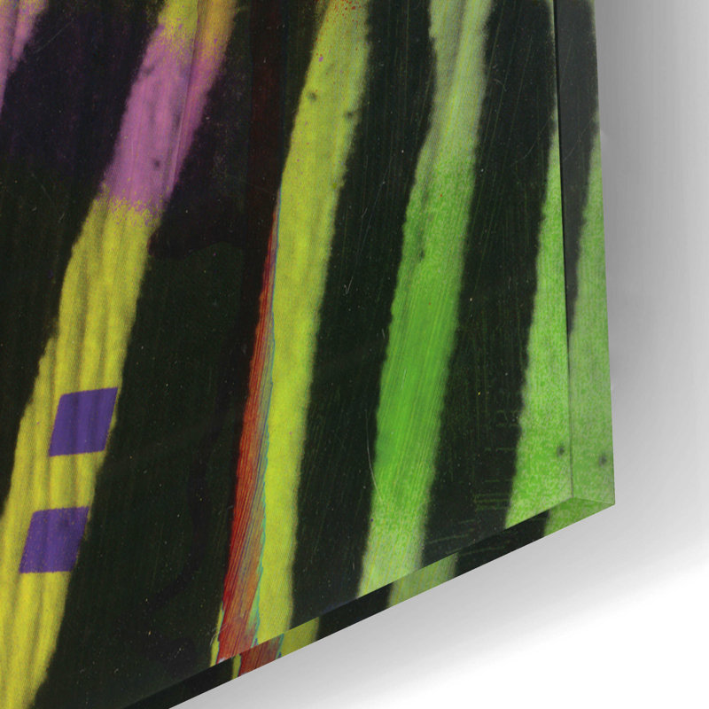 «Zebra 2» par Dean Russo, art mural en verre acrylique, H 12 po x l 16 po x P 0,13 po