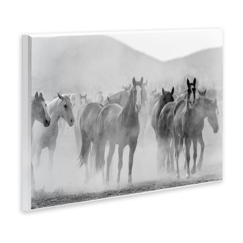 Art mural, "Courir cheval" par Kim Allen, H 13 po x l 19 po