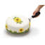 Cake Lifter
