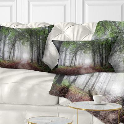 Coussin lombaire de la forêt à automne vert light through