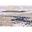 Peaceful Tidal Beach Print by Other Artist-311591588-311591608-311591614
