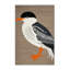  Tapis lavable Caspian Tern Birds-1676492371
