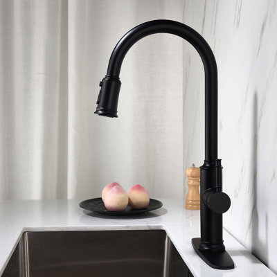 Robinet de cuisine avec douchette extractible