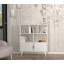 Thompson 105 cm H x 90 cm W Standard Bookcase