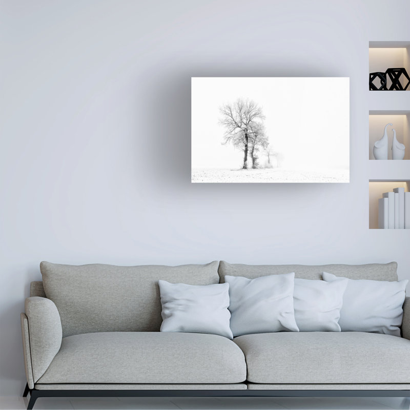 Art sur toile «Bachelo Daan Meeusen», H 16 po x l 24 po