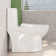 Fine Fixtures One Piece Toilets for Bathroom, 1.6 GPF Dual Flush, Soft Close Seat Cover, 12" Rough-In