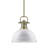 Calico 1-Light Dimmable Steel Dome Pendant with Adjustable Height-84052917-84052916