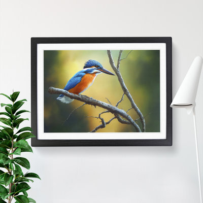 Cool Kingfisher Bird - Framed Print