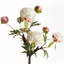 PEONY BRANCH 25inch-1419418274