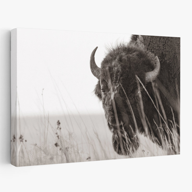 Contemporary Bison Sunset BW, 48" H x 32" W