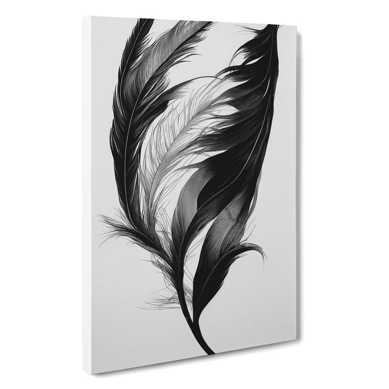 Wistful Feather - Wall Art, 50cm H x 35cm W, Wrapped Canvas