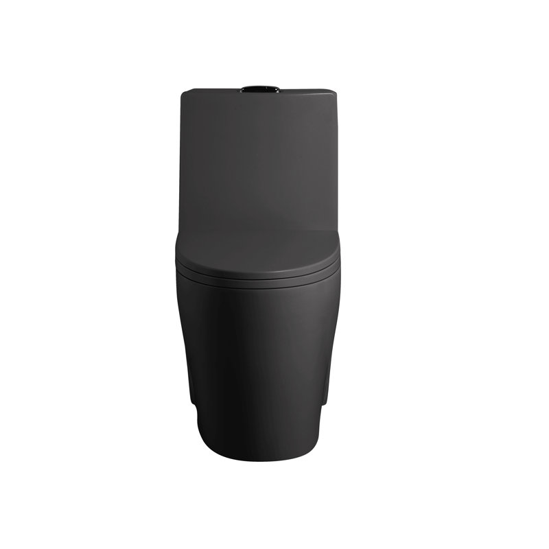 Small Compact One Piece Toilet Dual Flush, Matte Black