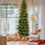 Arbre de Noël pré-éclairé avec lumières incandescentes, vert-1001329143