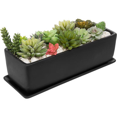 Pot d'intérieur en céramique, plante grasse rectangulaire