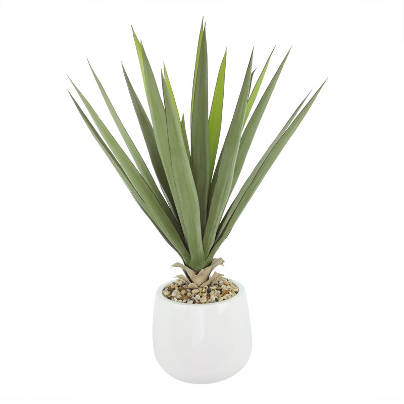 Yucca en pot de Fiberstone
