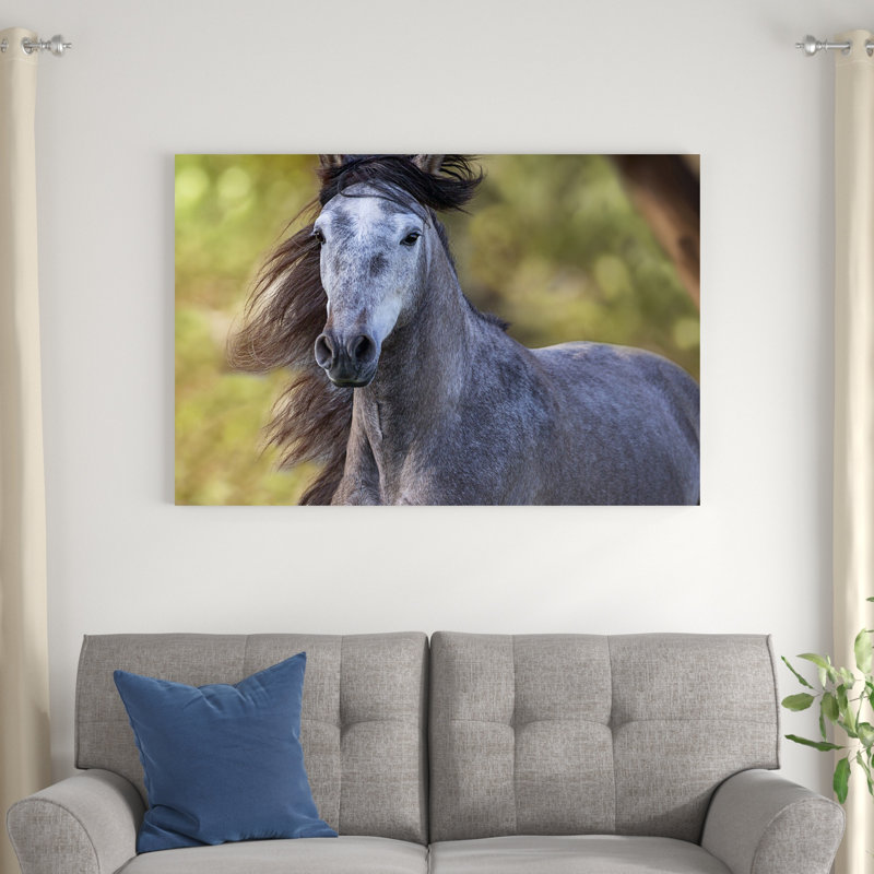 Cheval dans le champ I, H 32 po x l 48 po x P 1,25 po