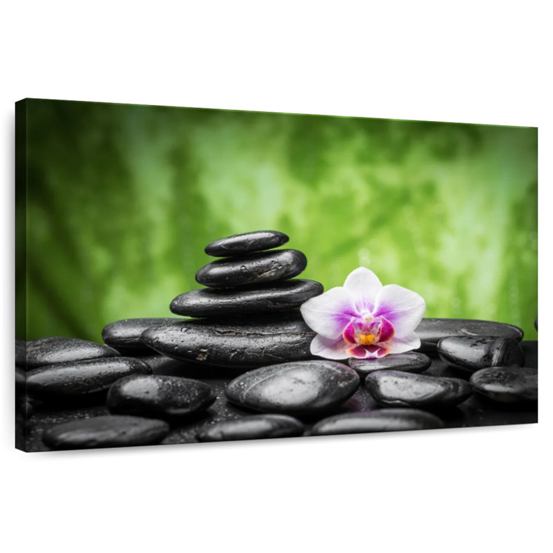 Orchidée Kerrick Zen, H 32 po x l 48 po