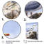 Décoration murale mouette au bord de la mer II - Animaux-735303079-735303076